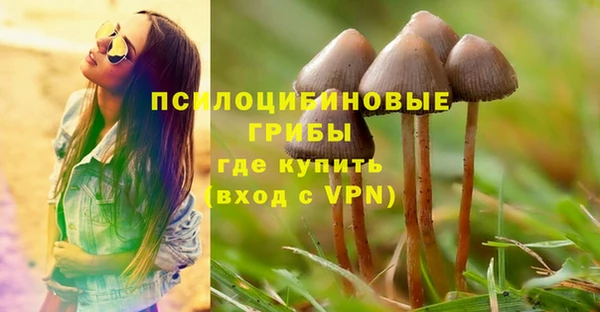 метадон Белокуриха